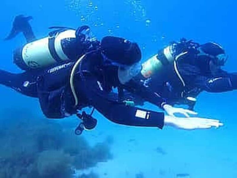 Porto: My first Scuba Dive in the Ocean - FAQ