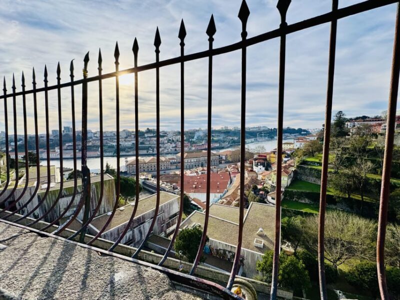 Porto "Old Town" Walking Tour (small groups) - Who Will Love This Tour?