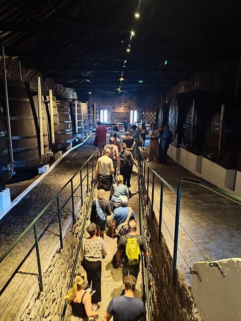 Porto: Port and Douro Wine Walking Tour with Tastings - What to Expect from the Porto Port and Douro Wine Walking Tour