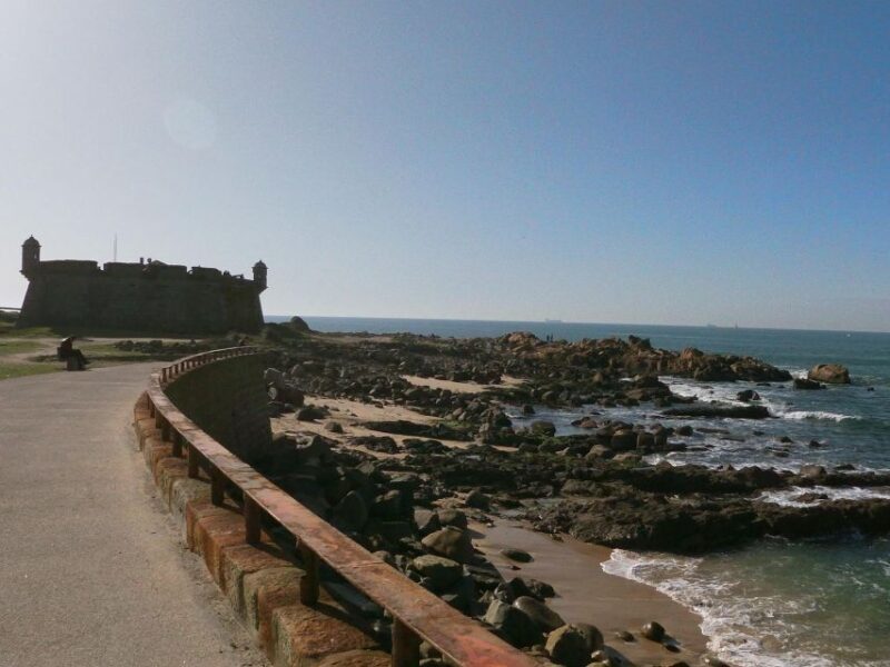 Porto + port cellar visit and tasting + sardine factory tour - Why This Tour Works Well