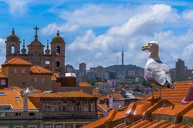 Porto Premium - Private Walking tour - FAQs