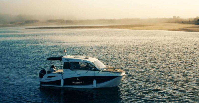 Porto: Private Boat Tour in Douro River - A Closer Look at the Porto: Private Boat Tour in Douro River