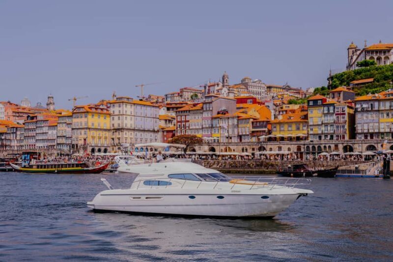 Porto: Private Cruise with local Wine, Snacks & 6 Bridges - Final Thoughts