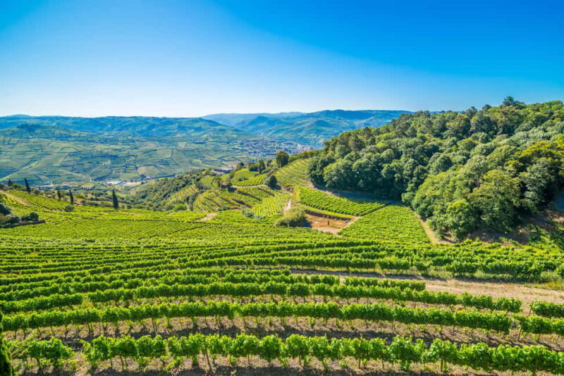 Porto: Private Cultural Lunch & Wine Tasting at Douro Valley - Practical Details: What’s Included and What to Prepare