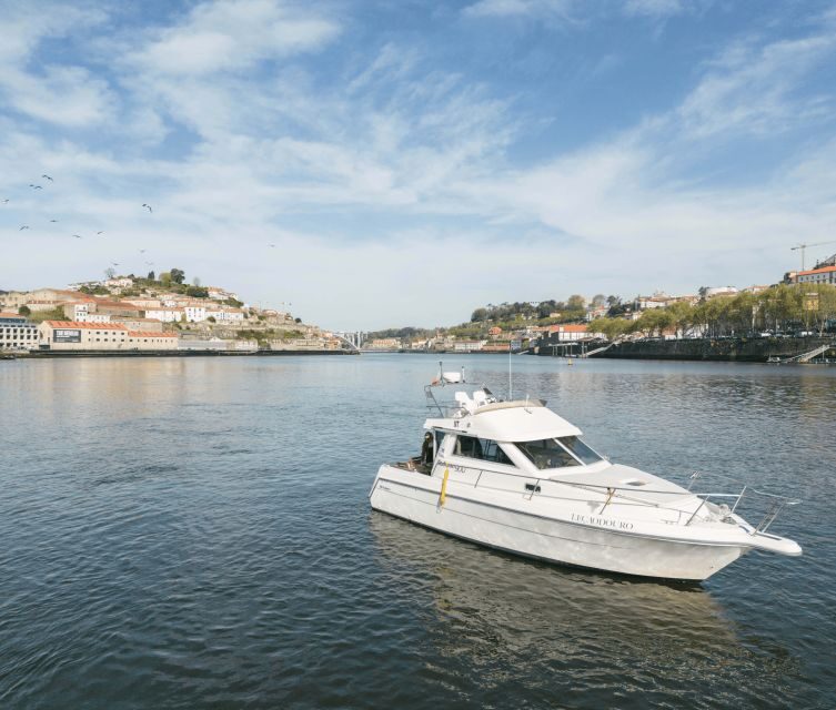 Porto: Private Douro River Sunset Cruise - Final Thoughts: Is It Worth It?