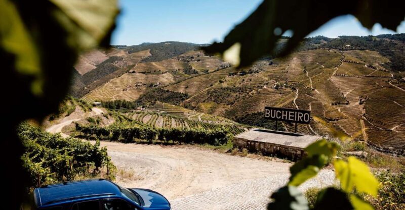 Porto: Private Douro Valley 4x4 Tour with Lunch - A Closer Look at the Experience