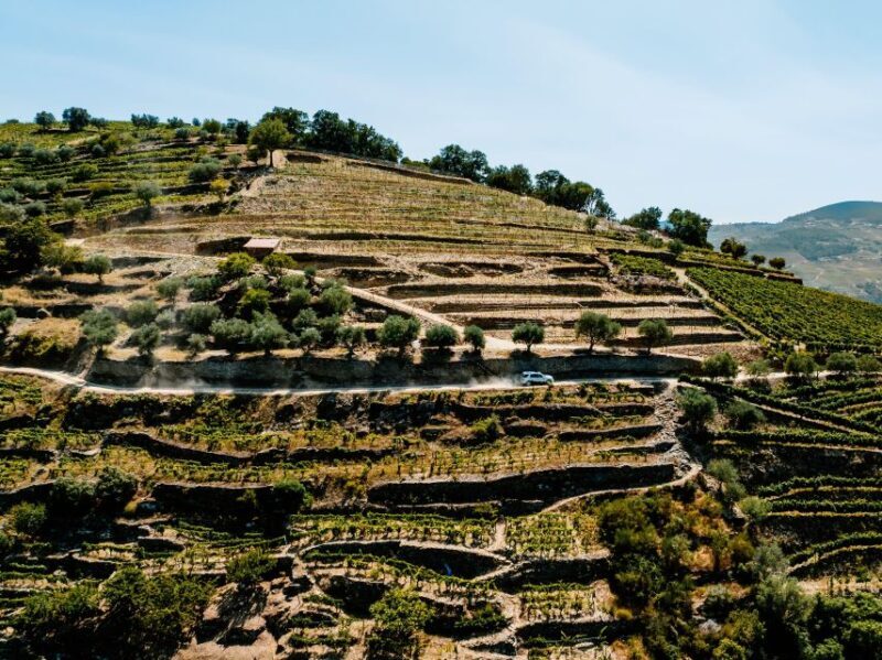 Porto: Private Douro Valley 4x4 Tour with Lunch - Who Will Love This Tour?
