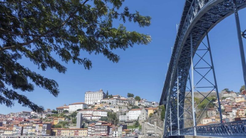 Porto: Private Full-Day City Tour - Key Points