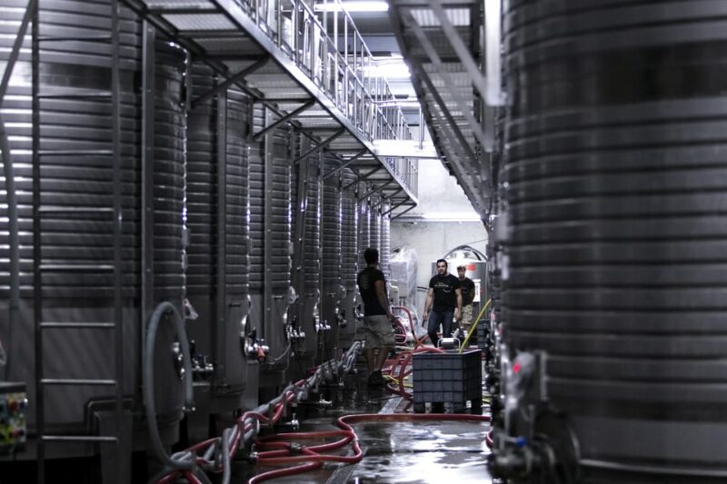 Porto: Private Green Wine Tour: Visit 2 Wine Estates & Lunch - The Value of This Tour