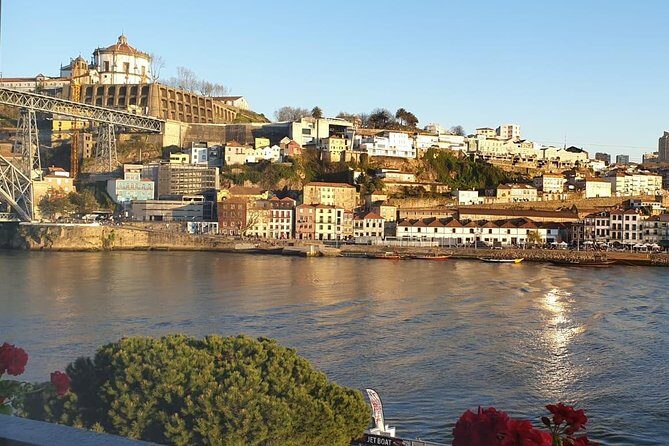 Porto Private Tour - Comfort, Flexibility, and Local Insights