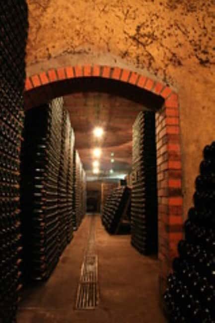 Porto: Private tour in Bairrada - From wine to suckling pig with tradition. - Key Points