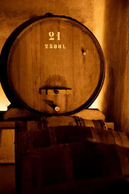 Porto: Private tour in Bairrada - From wine to suckling pig with tradition. - A Detailed Look at the Bairrada Private Tour