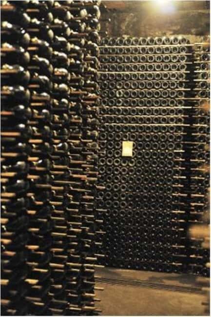 Porto: Private tour in Bairrada - From wine to suckling pig with tradition. - What to Expect and Things to Keep in Mind