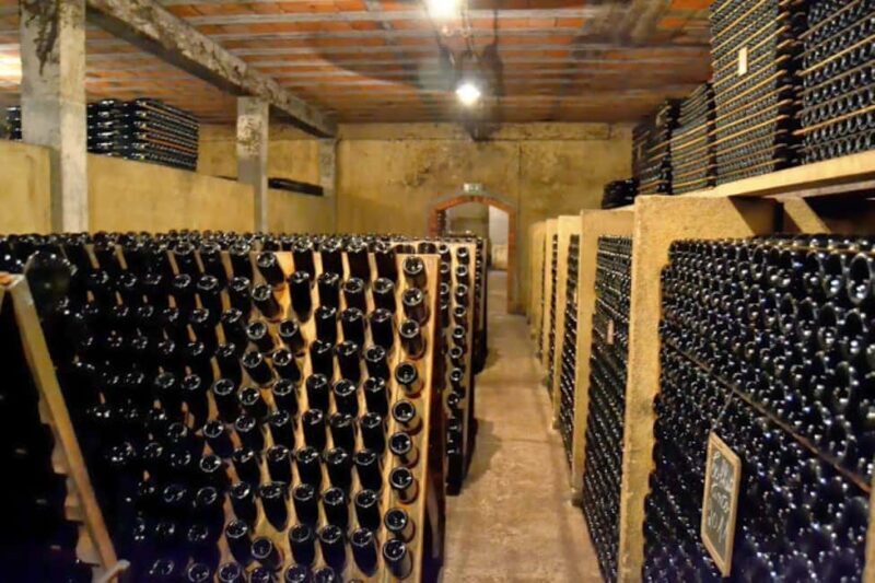 Porto: Private tour in Bairrada - From wine to suckling pig with tradition. - Who Will Love This Tour?