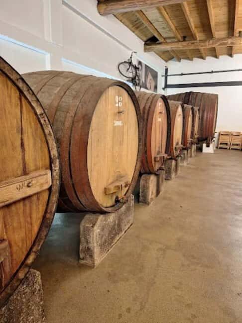 Porto: Private tour in Bairrada - From wine to suckling pig with tradition. - FAQ