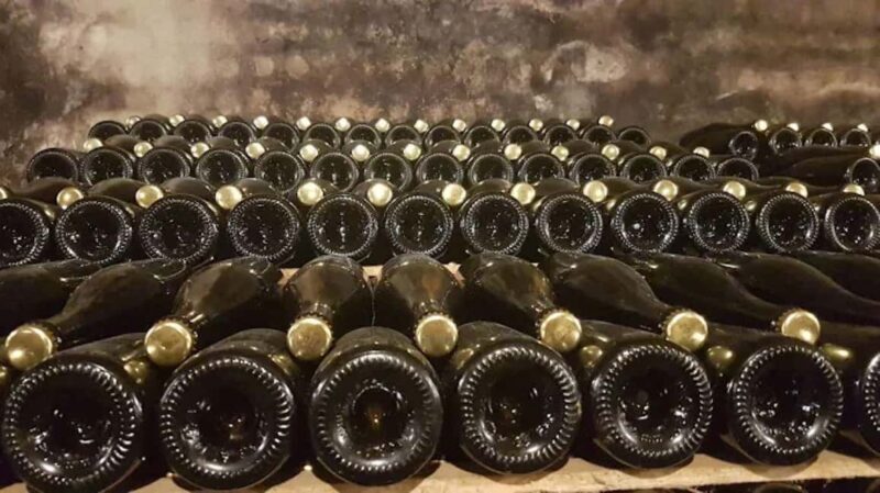 Porto: Private tour in Bairrada - From wine to suckling pig with tradition. - Final Thoughts