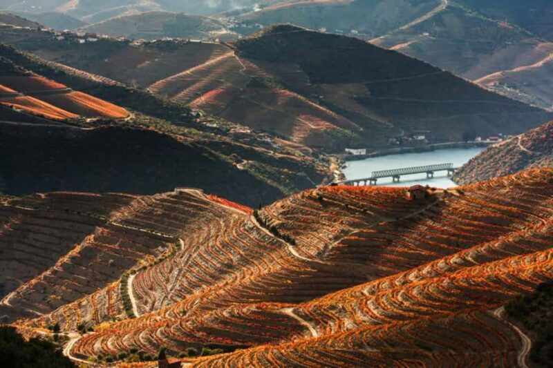 Porto: Private tour of the Douro Valley and schist village. Exclusive program - Key Points