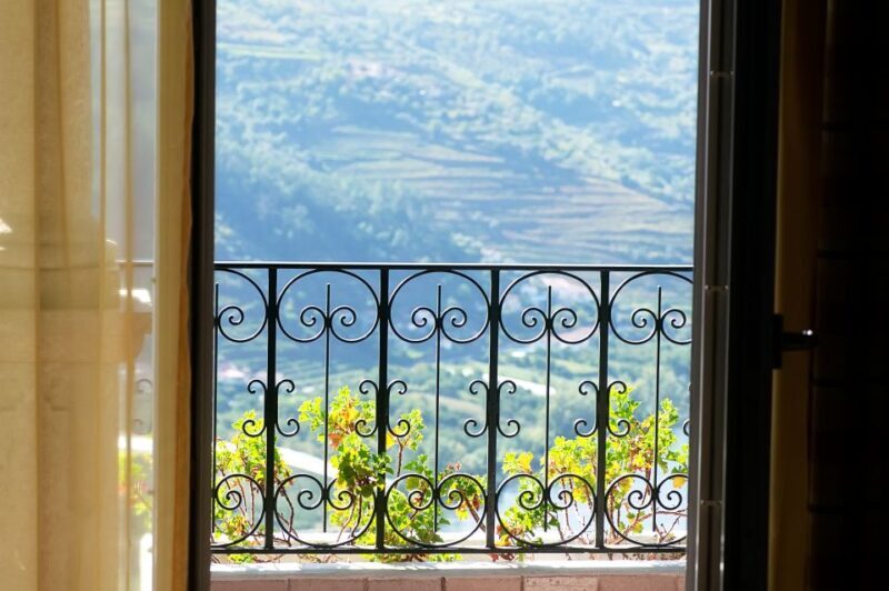 Porto: Private Tour - Wineries, Tastings, Picnic, boat trip - A Day in Douro: Private Wineries, Scenic Views, and River Cruises