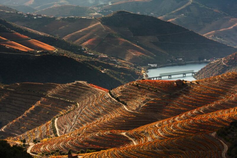 Porto: Private Tour - Wineries, Tastings, Picnic, boat trip - Final Thoughts: Who Is This Tour For?