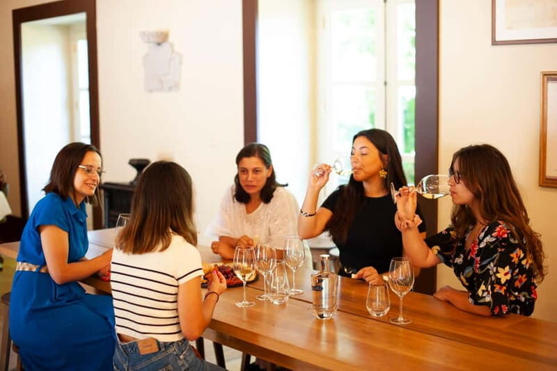 Porto: Qta da Aveleda Enchanted Gardens & Green Wine - What the Tour Offers in Practical Terms