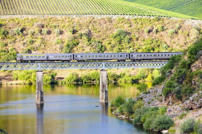 Porto: Régua Cruise with Train Ride and Wine Tasting - Exploring the Itinerary in Detail