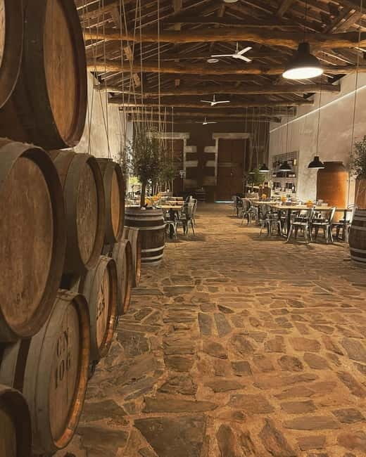 Porto: Régua Cruise with Train Ride and Wine Tasting - Who Will Love This Tour?