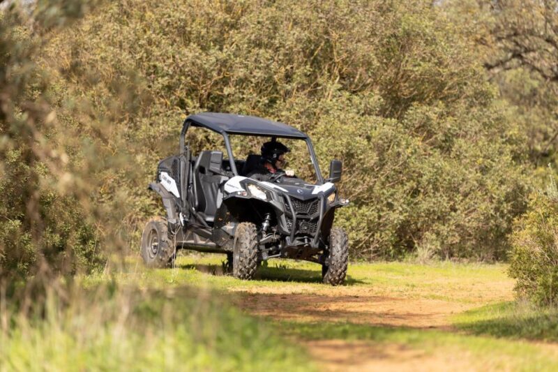 Porto Santo: 180 Minutes Off-Road Buggy Tour - What’s Included and What to Bring