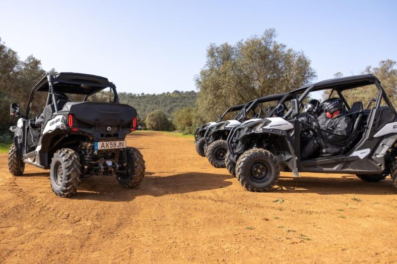 Porto Santo: 180 Minutes Off-Road Buggy Tour - Authentic Reviews and Traveler Perspectives