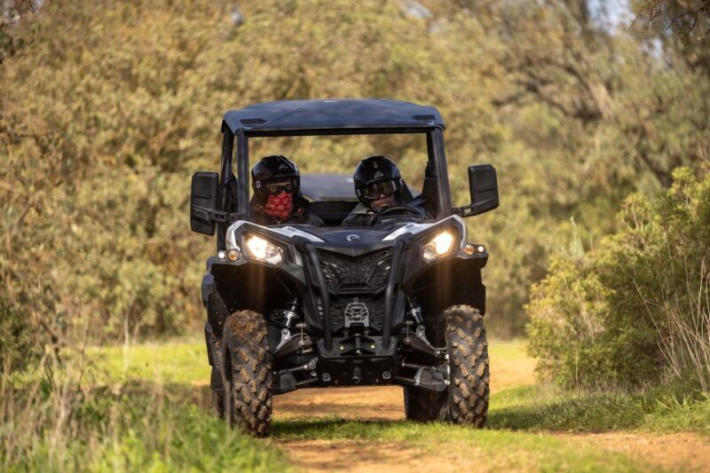 Porto Santo: 180 Minutes Off-Road Buggy Tour - Who Should Consider This Tour?