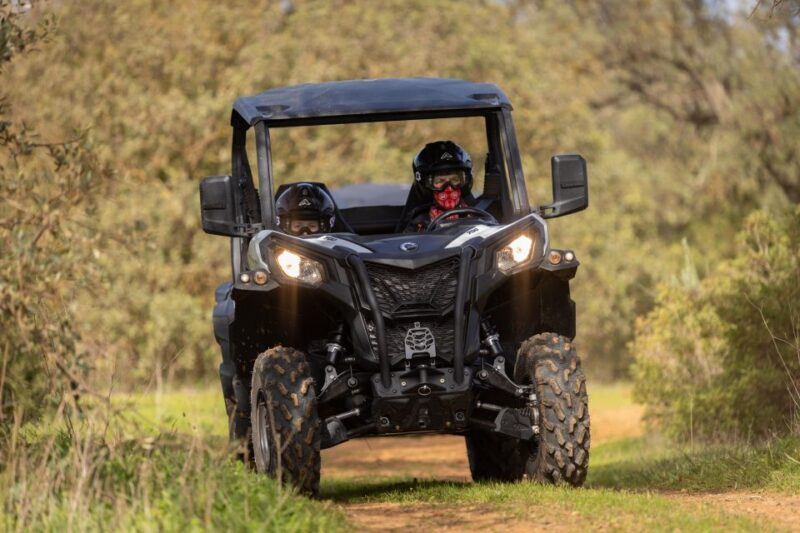Porto Santo: 180 Minutes Off-Road Buggy Tour - The Sum Up: Who Will Love This Tour?