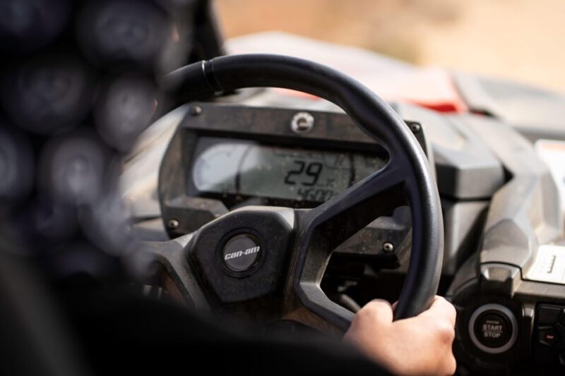 Porto Santo: 90 Minutes Off-Road Buggy Tour - Practical Tips for Travelers