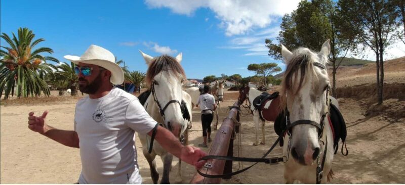 Porto Santo Island: Horse Riding - A Closer Look at the Porto Santo Horse Riding Tour