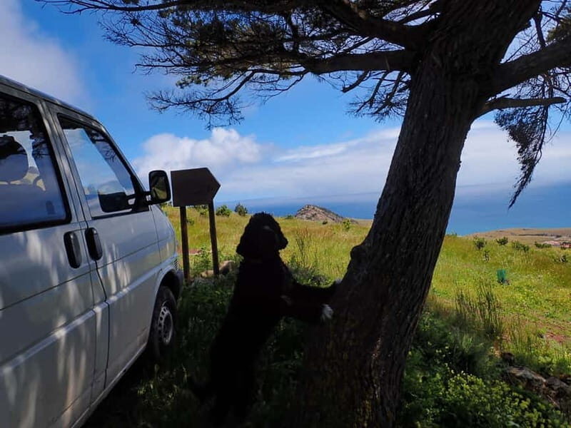 Porto Santo Island: Pico do Facho Panoramic Trail - Exploring the Pico do Facho Panoramic Trail