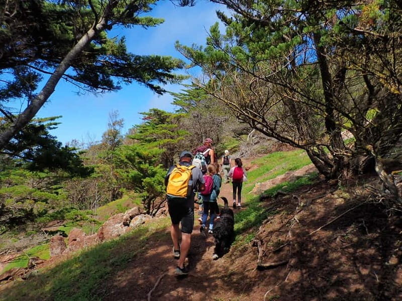 Porto Santo Island: Pico do Facho Panoramic Trail - The Experience Provider