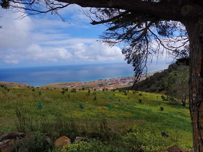 Porto Santo Island: Pico do Facho Panoramic Trail - Final Thoughts