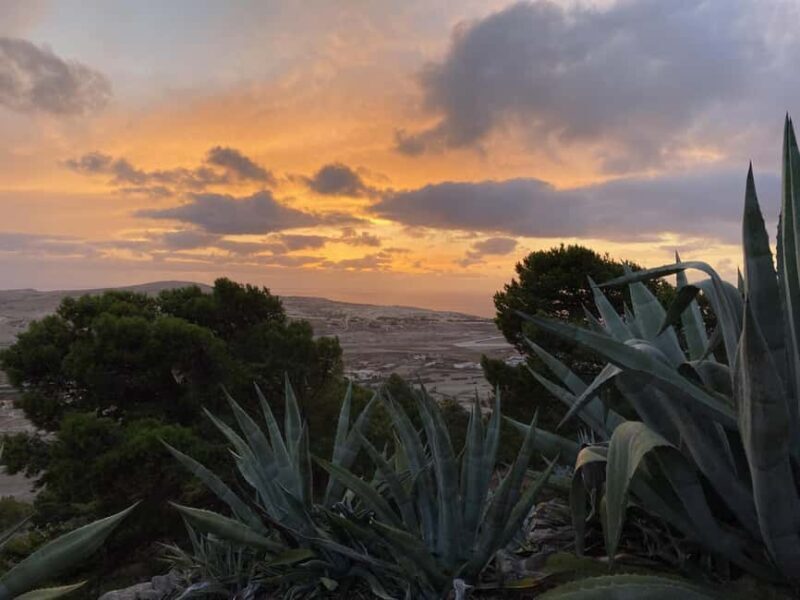 Porto Santo, Photographic whole island tour - Final Thoughts: Is this tour right for you?