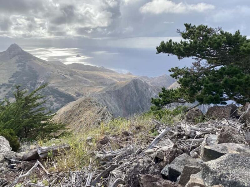 Porto Santo: Pico Branco and Terra Cha Guided Mountain Hike - Final Thoughts