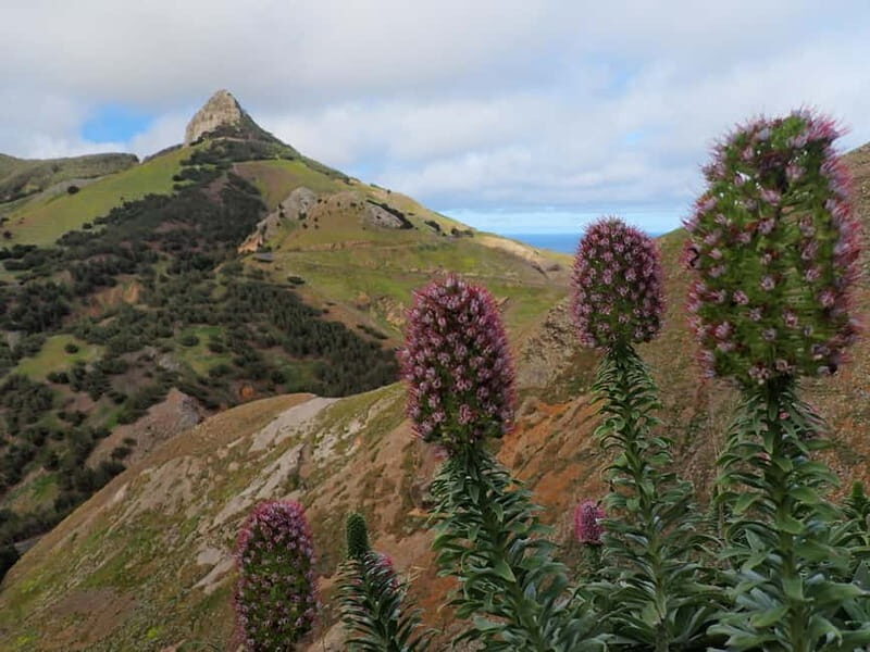 Porto Santo: Terra Chã and Pico Branco Hiking tour - Quick Overview