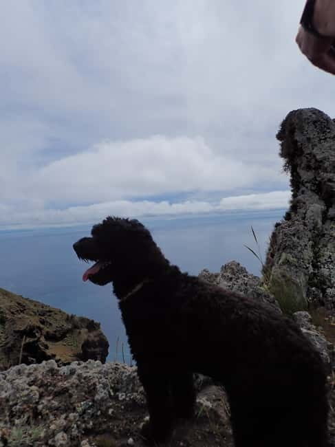 Porto Santo: Terra Chã and Pico Branco Hiking tour - Authentic Perspectives from Travelers