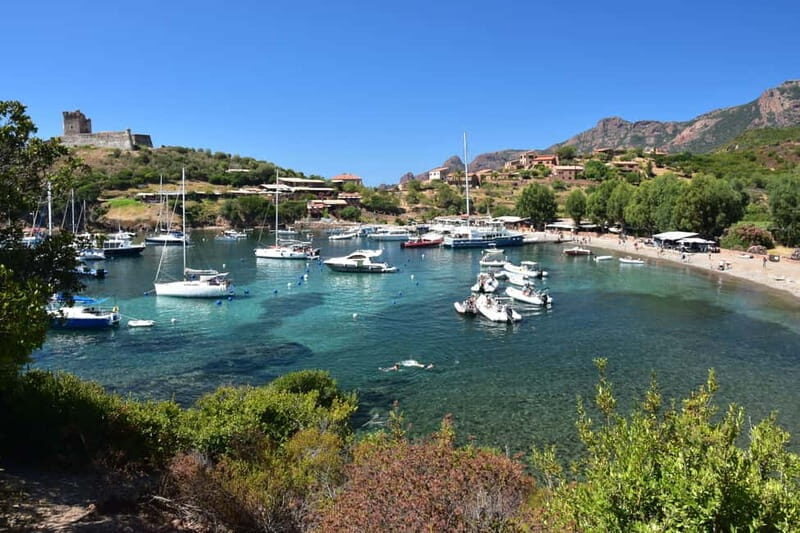 Porto: Scandola Nature Reserve and Creeks of Piana Boat Tour - Practical Details and Tips