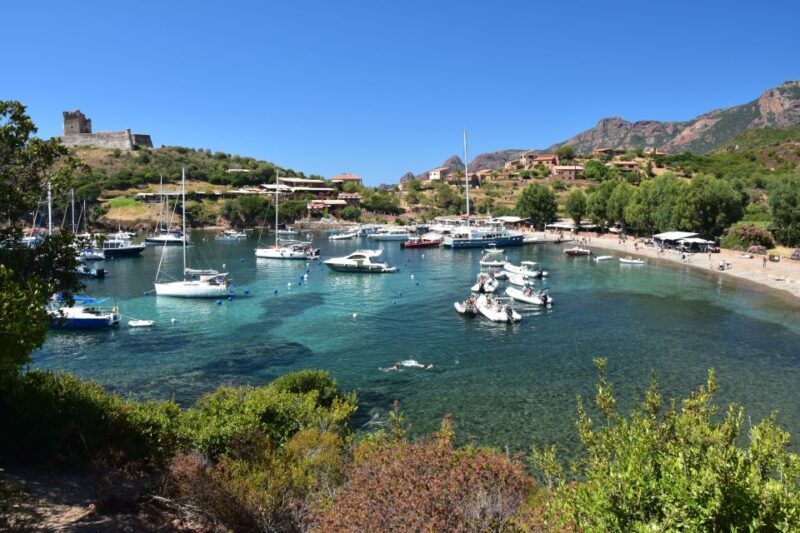 Porto: Scandola Nature Reserve and Creeks of Piana Boat Tour - What Travelers Are Saying