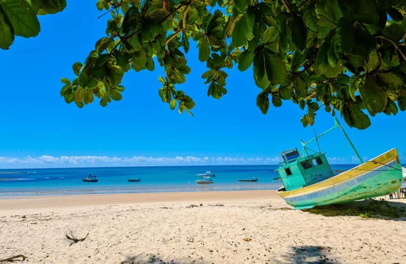 Porto Seguro: Private City Tour Caraiva Beach - Key Points