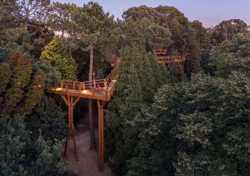 Porto: Serralves Park Entry Ticket - Key Points