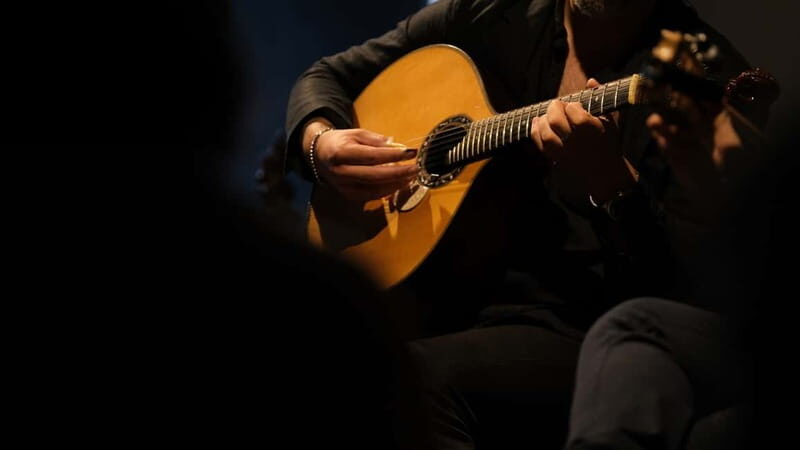 Porto: The highest-rated traditional fado concert (downtown) - Who Will Love This Experience?
