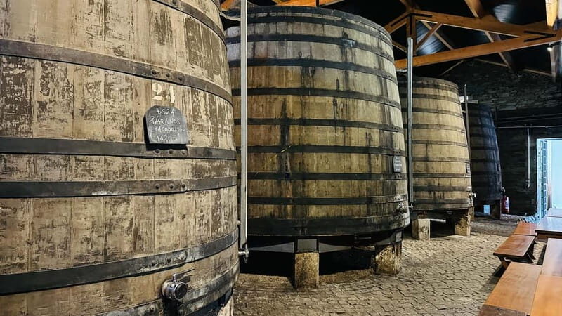 Porto to Gaia Experience: City Walk and Wine Cellars - A Deep Dive into the Experience