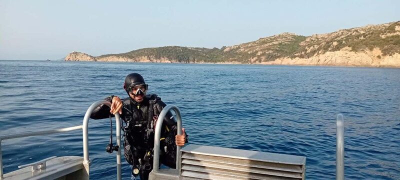 Porto-Vecchio: beginner diving in the Cerbicale Islands in the reserve - In-Depth Review of the Cerbicale Islands Beginner Diving Tour