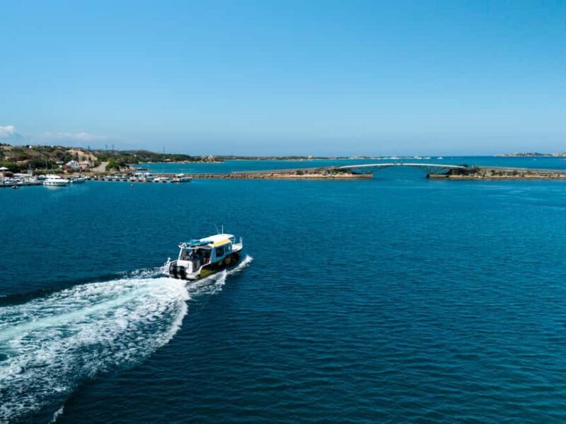 Porto Vecchio: Boat Tour to Maddalena Archipelago (Sardinia) - Key Points