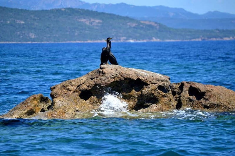 Porto-Vecchio : Boat Trip to Lavezzi, Caves & Bonifacio - Final Thoughts