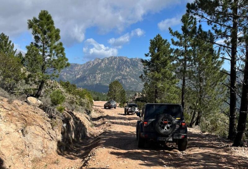 Porto Vecchio: Cuscionu Plateau & Alta Rocca 4x4 Tour - An In-Depth Look at the Tour Experience
