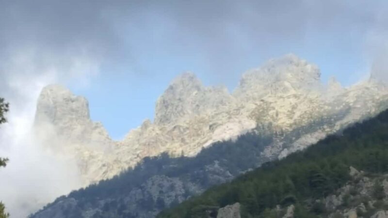 Porto Vecchio: Cuscionu Plateau & Alta Rocca 4x4 Tour - Who Will Appreciate This Tour?